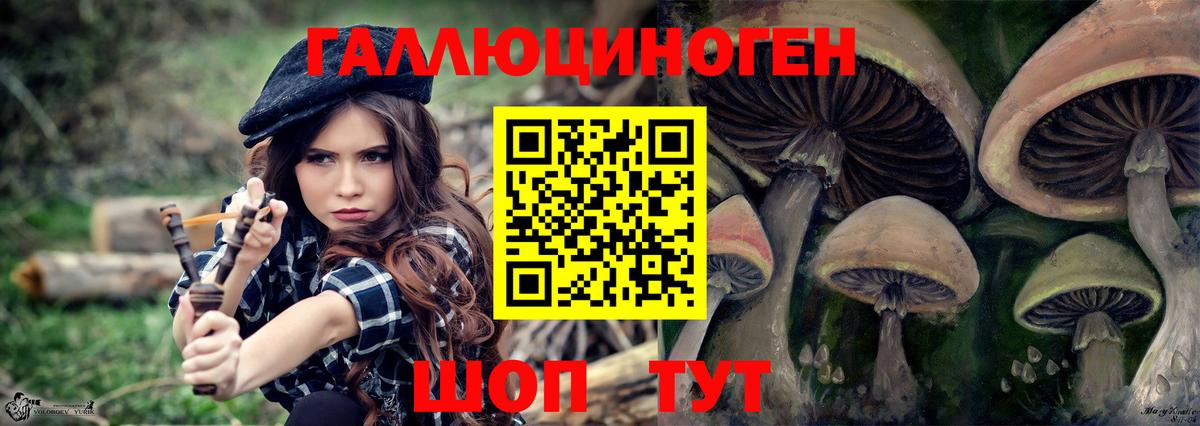 как найти закладки  Псилоцибиновые грибы мухоморы  Вход с VPN  Сафоново 