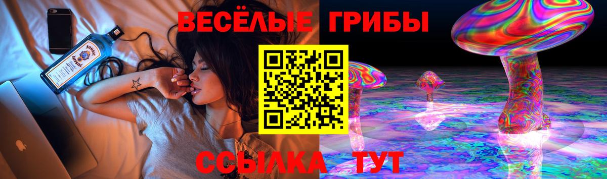 Псилоцибиновые грибы MAGIC MUSHROOMS Сафоново